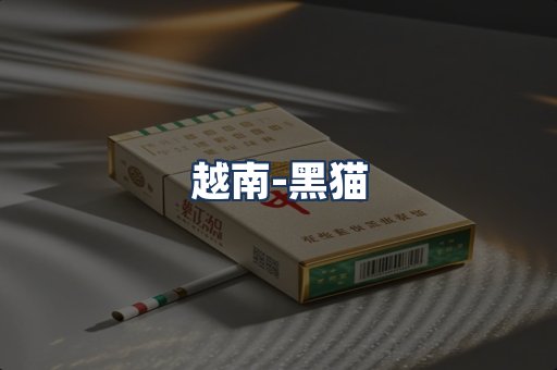 越南黑猫